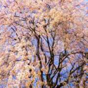 ヒメ日記 2026/03/22 23:12 投稿 吉丘百合香 五十路マダム金沢店