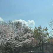 ヒメ日記 2026/04/08 12:18 投稿 吉丘百合香 五十路マダム金沢店