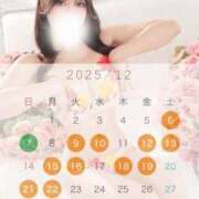 ヒメ日記 2025/11/12 21:54 投稿 まりあ コートダジュール