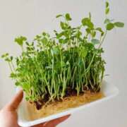 ヒメ日記 2025/09/28 23:10 投稿 むぎさん いけない奥さん 十三店