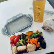 ヒメ日記 2025/10/03 13:08 投稿 むぎさん いけない奥さん 十三店