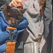 ヒメ日記 2025/04/06 13:08 投稿 むぎさん いけない奥さん 梅田店