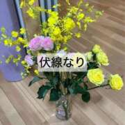 ヒメ日記 2025/05/29 19:19 投稿 渚 のえる カサノヴァ