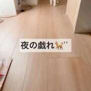 ヒメ日記 2025/07/26 00:39 投稿 渚 のえる カサノヴァ