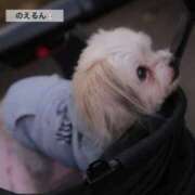 ヒメ日記 2025/11/12 21:09 投稿 渚 のえる カサノヴァ