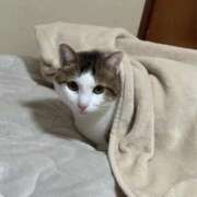 ヒメ日記 2026/01/26 09:19 投稿 渚 のえる カサノヴァ