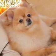 ヒメ日記 2026/05/27 10:09 投稿 渚 のえる カサノヴァ