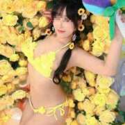 ヒメ日記 2026/07/29 09:19 投稿 渚 のえる カサノヴァ