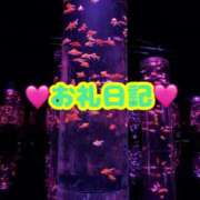 ヒメ日記 2024/12/13 01:11 投稿 りあ ちゃんこ長野塩尻北IC店