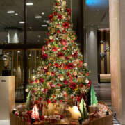 ヒメ日記 2025/11/18 14:30 投稿 きょうか 性腺熟女100％（デリヘル市場）