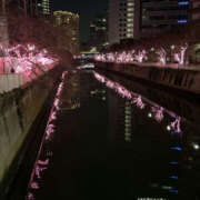 ヒメ日記 2026/01/08 09:55 投稿 きょうか 性腺熟女100％本店（デリヘル市場）