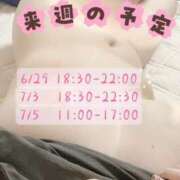 ヒメ日記 2026/06/28 23:01 投稿 みほ 横浜風俗 横浜いきなりビンビン伝説