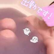 ヒメ日記 2024/12/13 05:02 投稿 せりな マリン千葉店