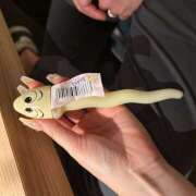 ヒメ日記 2025/02/14 16:53 投稿 ぴいち ∞ (はっち)