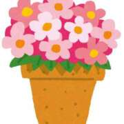 みんと 次回出勤 One More 奥様　西川口店