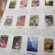 ヒメ日記 2025/04/27 10:27 投稿 中島千鶴子(ちづこ) 東京不倫 渋谷店