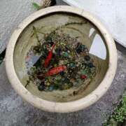 ヒメ日記 2025/06/10 23:27 投稿 中島千鶴子(ちづこ) 東京不倫 渋谷店