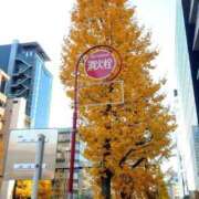 ヒメ日記 2025/12/22 13:57 投稿 中島千鶴子(ちづこ) 東京不倫 渋谷店