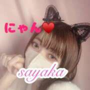 ヒメ日記 2025/02/22 22:05 投稿 有村さやか 札幌ソフィア