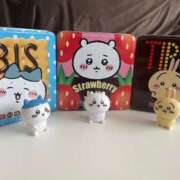 ヒメ日記 2025/04/12 21:19 投稿 有村さやか 札幌ソフィア