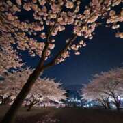 ヒメ日記 2025/05/12 02:18 投稿 有村さやか 札幌ソフィア