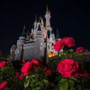 ヒメ日記 2025/05/30 03:42 投稿 有村さやか 札幌ソフィア