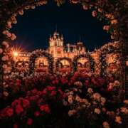 ヒメ日記 2025/05/31 02:03 投稿 有村さやか 札幌ソフィア