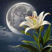 ヒメ日記 2025/06/06 04:03 投稿 有村さやか 札幌ソフィア