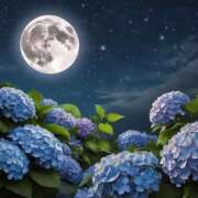 ヒメ日記 2025/06/07 02:18 投稿 有村さやか 札幌ソフィア