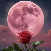 ヒメ日記 2025/06/11 17:48 投稿 有村さやか 札幌ソフィア