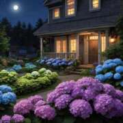 ヒメ日記 2025/06/15 03:33 投稿 有村さやか 札幌ソフィア