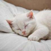 ヒメ日記 2025/06/30 02:48 投稿 有村さやか 札幌ソフィア