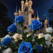 ヒメ日記 2025/07/13 02:03 投稿 有村さやか 札幌ソフィア