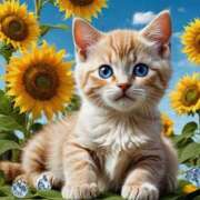 ヒメ日記 2025/07/31 19:12 投稿 有村さやか 札幌ソフィア