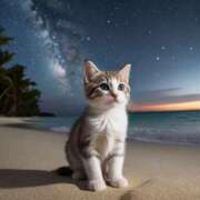 ヒメ日記 2025/08/06 22:57 投稿 有村さやか 札幌ソフィア