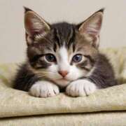 ヒメ日記 2025/09/14 19:24 投稿 有村さやか 札幌ソフィア