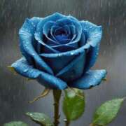 ヒメ日記 2025/09/18 18:21 投稿 有村さやか 札幌ソフィア