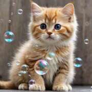 ヒメ日記 2025/09/18 19:15 投稿 有村さやか 札幌ソフィア