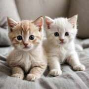 ヒメ日記 2025/09/28 22:21 投稿 有村さやか 札幌ソフィア