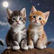 ヒメ日記 2025/09/29 19:03 投稿 有村さやか 札幌ソフィア