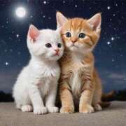 ヒメ日記 2025/09/29 19:27 投稿 有村さやか 札幌ソフィア