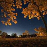 ヒメ日記 2025/10/09 19:09 投稿 有村さやか 札幌ソフィア