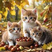 ヒメ日記 2025/10/11 19:18 投稿 有村さやか 札幌ソフィア