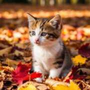 ヒメ日記 2025/10/22 19:12 投稿 有村さやか 札幌ソフィア