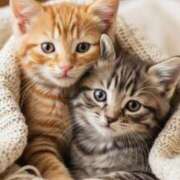 ヒメ日記 2025/10/29 19:04 投稿 有村さやか 札幌ソフィア