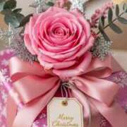 ヒメ日記 2025/12/26 19:20 投稿 有村さやか 札幌ソフィア