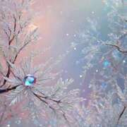 ヒメ日記 2025/12/28 19:20 投稿 有村さやか 札幌ソフィア