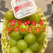 ヒメ日記 2026/01/08 19:03 投稿 有村さやか 札幌ソフィア