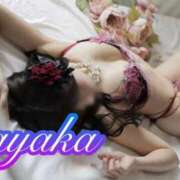 ヒメ日記 2026/01/27 18:03 投稿 有村さやか 札幌ソフィア