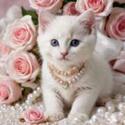 ヒメ日記 2026/02/16 17:33 投稿 有村さやか 札幌ソフィア